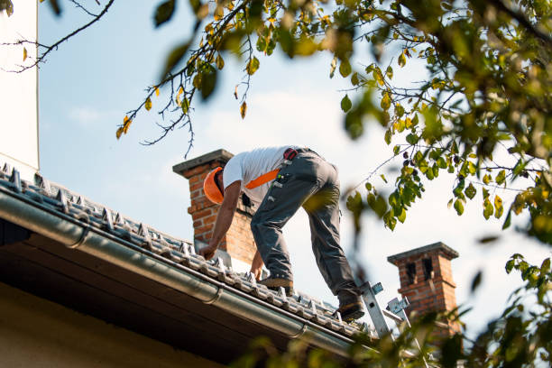 Best Affordable Roofing Company  in South Wallins, KY