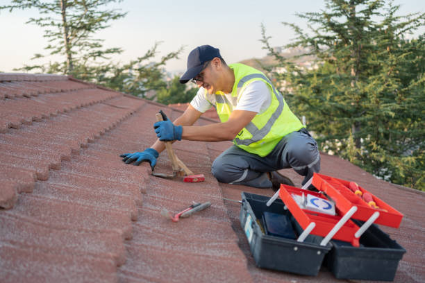 Best Roof Waterproofing Services  in South Wallins, KY