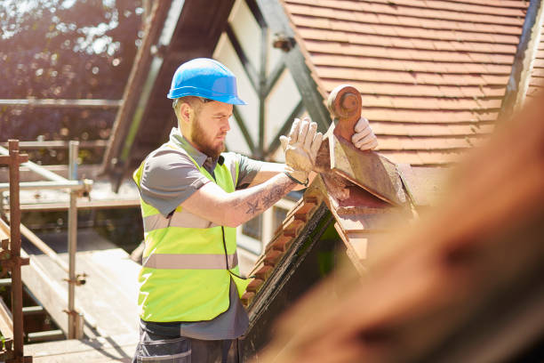 Best Roof Repair Services  in South Wallins, KY