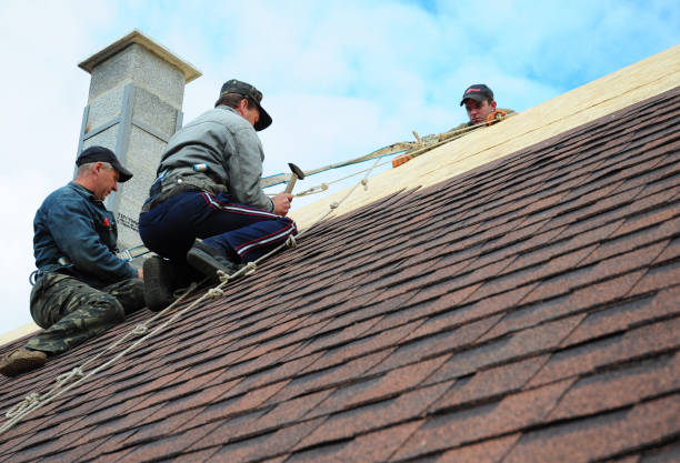 Best Roofing Contractor Near Me  in South Wallins, KY