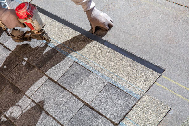 Best Metal Roofing Contractor  in South Wallins, KY